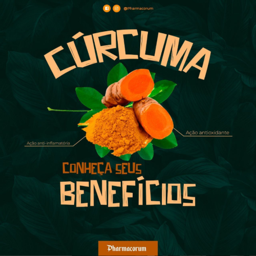 Curcuma